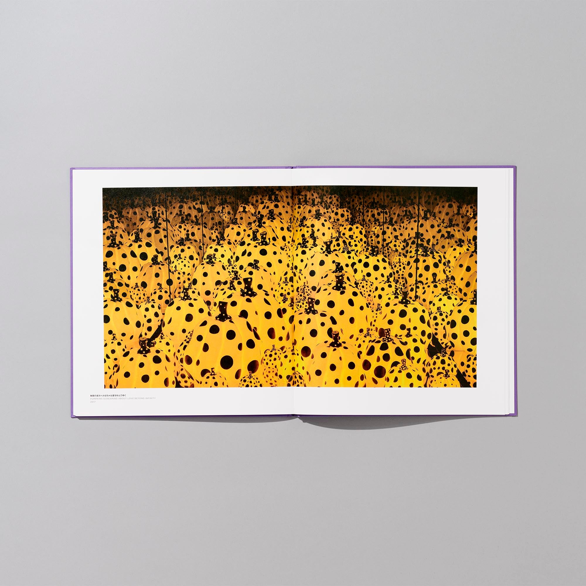 YAYOI KUSAMA STORE | 展覧会カタログ